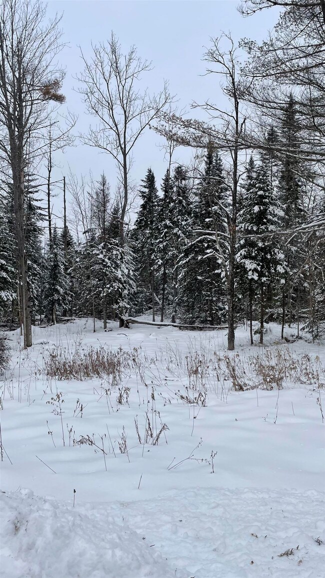 2137 N Littleton Rd, Littleton, NH 03561 - photo 4