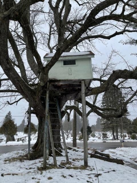 617 W Church Ave, Reed City, MI 49677 - photo 6