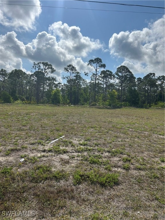View of local wilderness