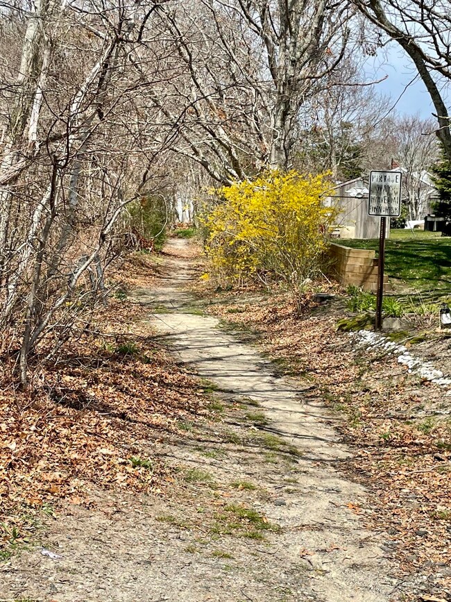 Pathway to Beach