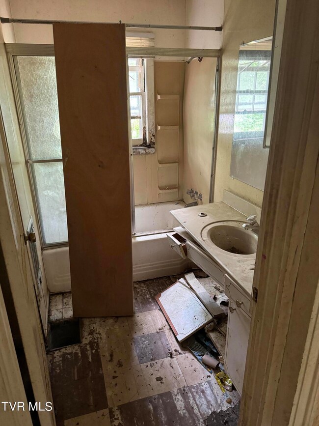 309 Roosevelt St, Johnson City, TN 37601 - photo 6