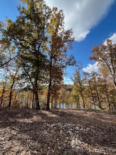 Absolutely breathtaking!