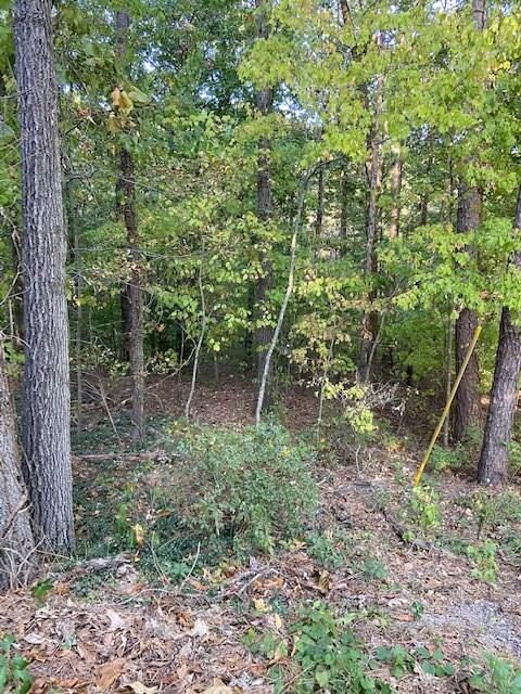 0 Earby Ln, Bella Vista, AR 72714 - photo 2