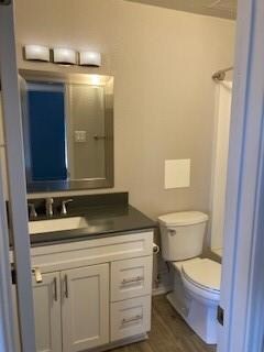 Bathroom with vanity, hardwood / wood-style floors, and toilet