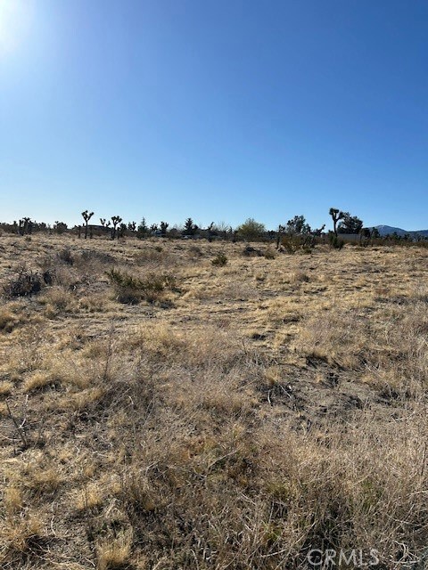 0 Pinon Hills Rd unit HD25051077, Pinon Hills, CA 92372 - photo 5