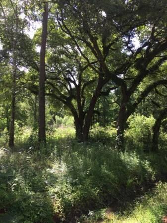 57256 Pace Rd, Slidell, LA 70461 - photo 2