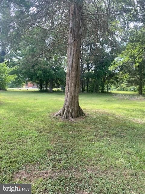 13253 Elk Run Rd, Bealeton, VA 22712 - photo 2