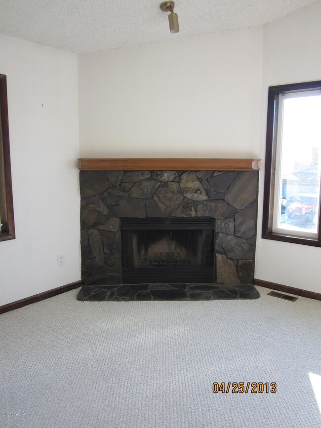 Living Area Fireplace