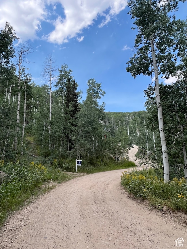 View of dirt / gravel road featuring a view of trees