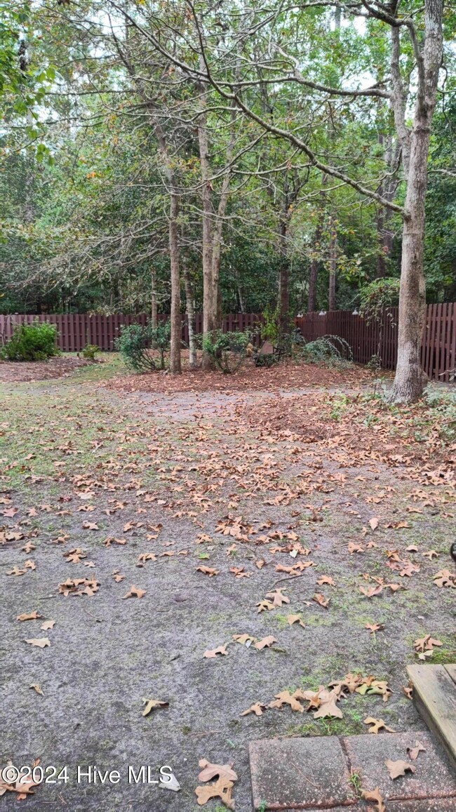 Backyard 2