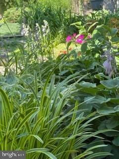 2811 N Westmoreland St, Arlington, VA 22213 - photo 6