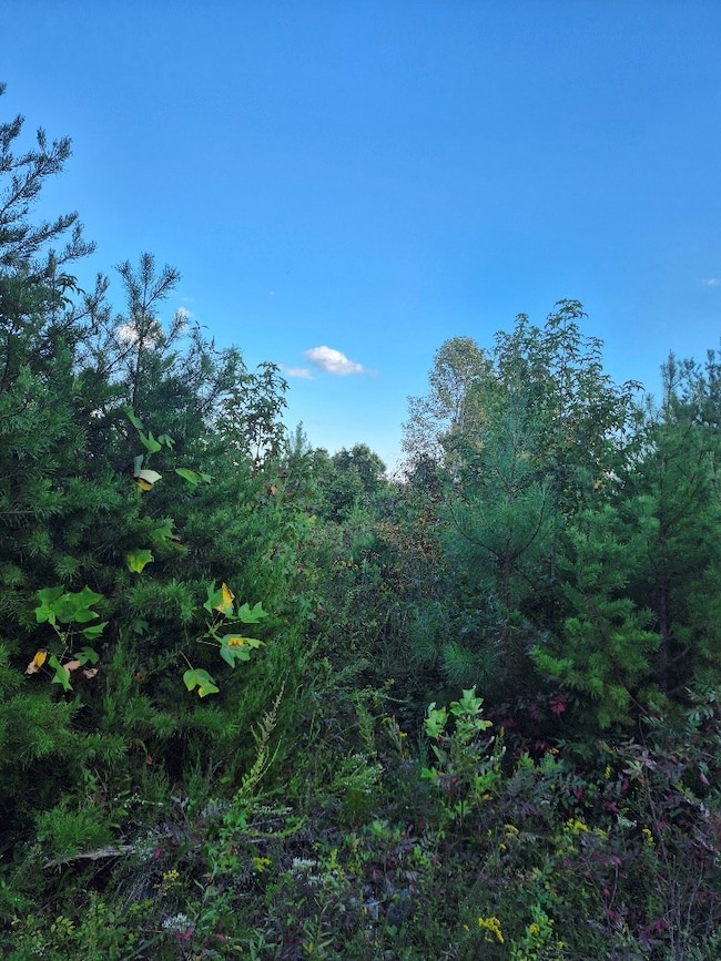 0 Fort Dr unit 16 57759, Pamplin, VA 23958 - photo 6