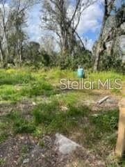 11616 Bullfrog Creek Rd, Gibsonton, FL 33534 - photo 6