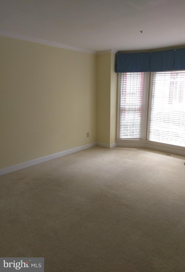 11821 Bishops Content Rd, Bowie, MD 20721 - photo 5