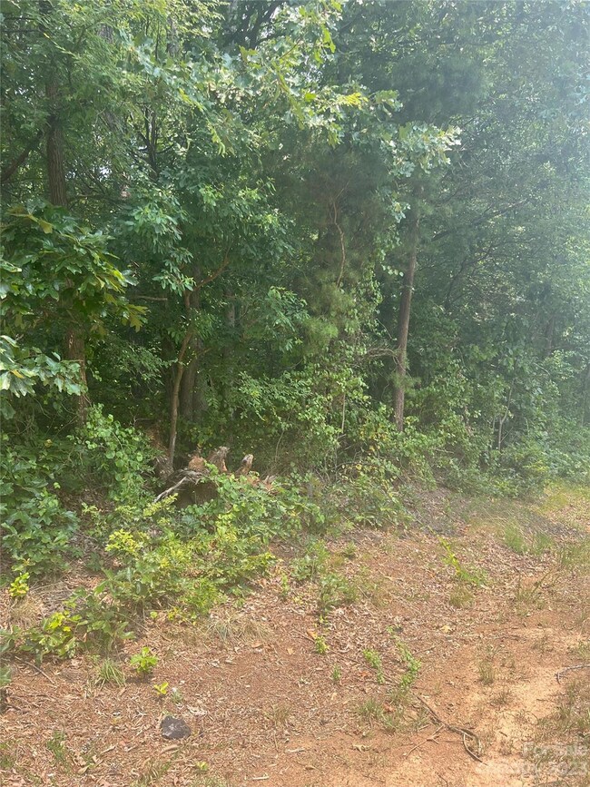 171 Arlie Loop, Statesville, NC 28677 - photo 2