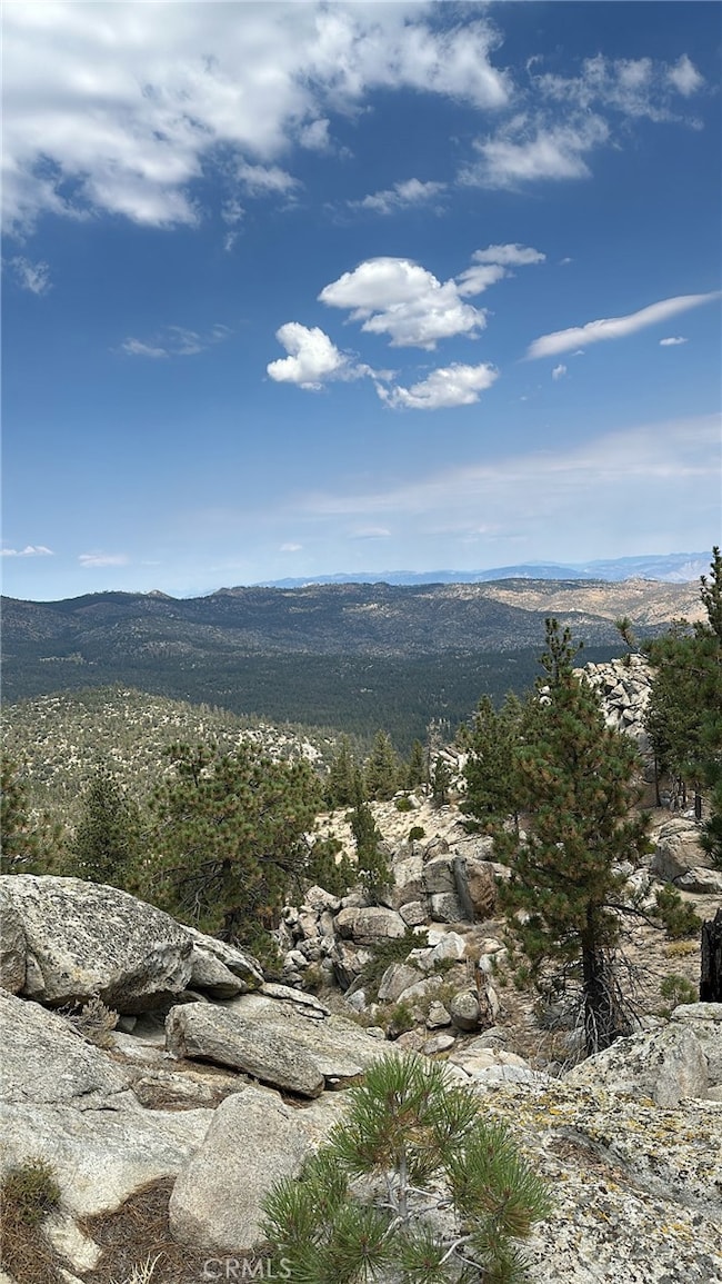 15331003 Mountain Meadow Rd, Caliente, CA 93518 - photo 2