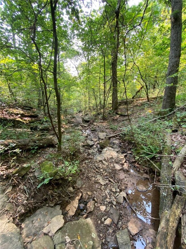10AC Wild Turkey Rd, Winslow, AR 72959 - photo 2