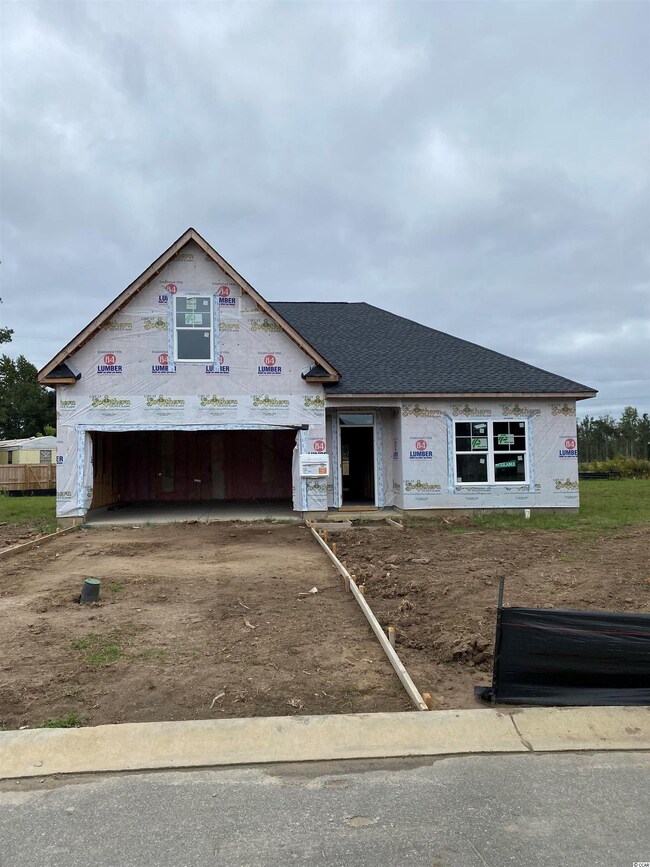 232 Red Maple Loop unit Lot 12 Julie B, Longs, SC 29568 - photo 5