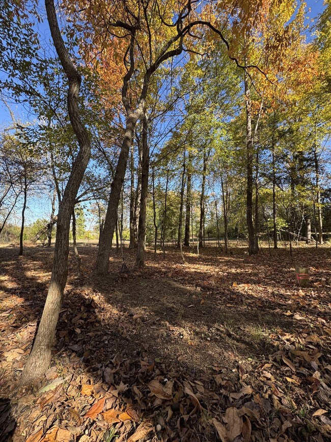 528 Hunting Hills Dr, Mount Juliet, TN 37122 - photo 2