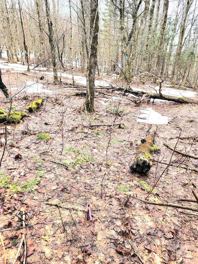 2 Diamond Pond Rd unit B, Stewartstown, NH 03576 - photo 3