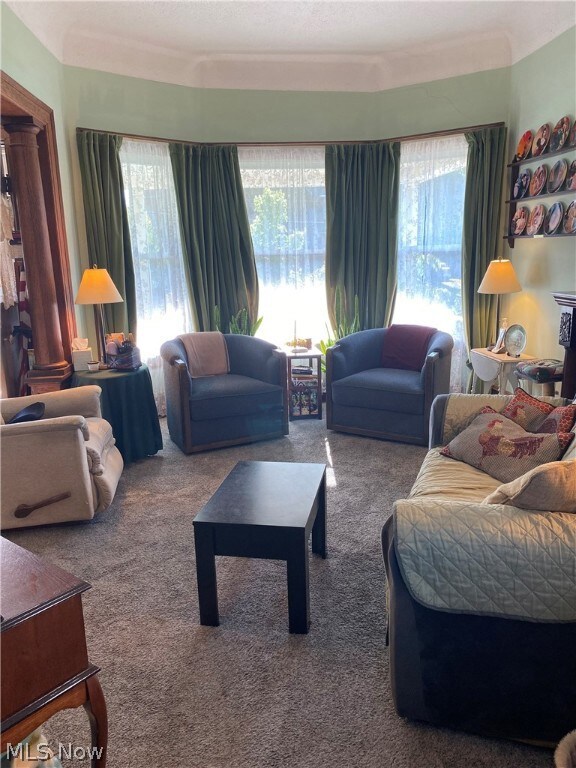 Carpeted living room with crown molding