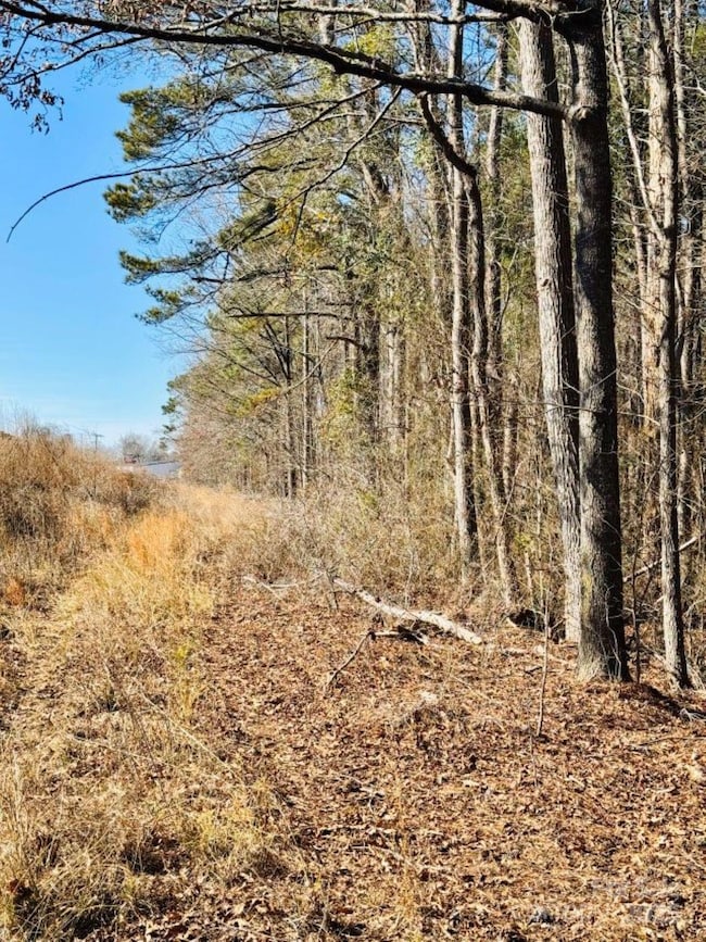 24 ac S Carolina 9, Wallace, SC 29596 - photo 6