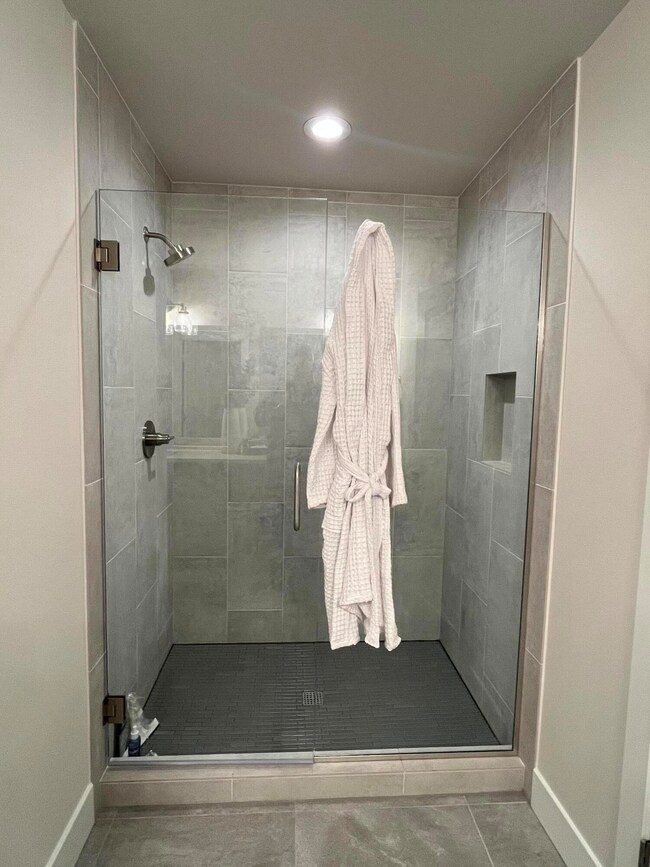 Primary Shower