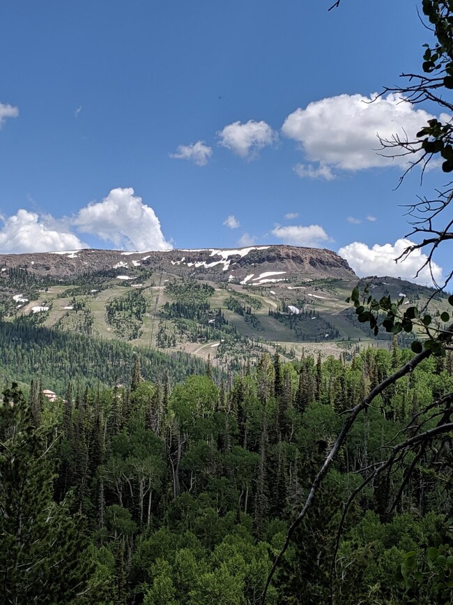IMG_20190714_142528_Original