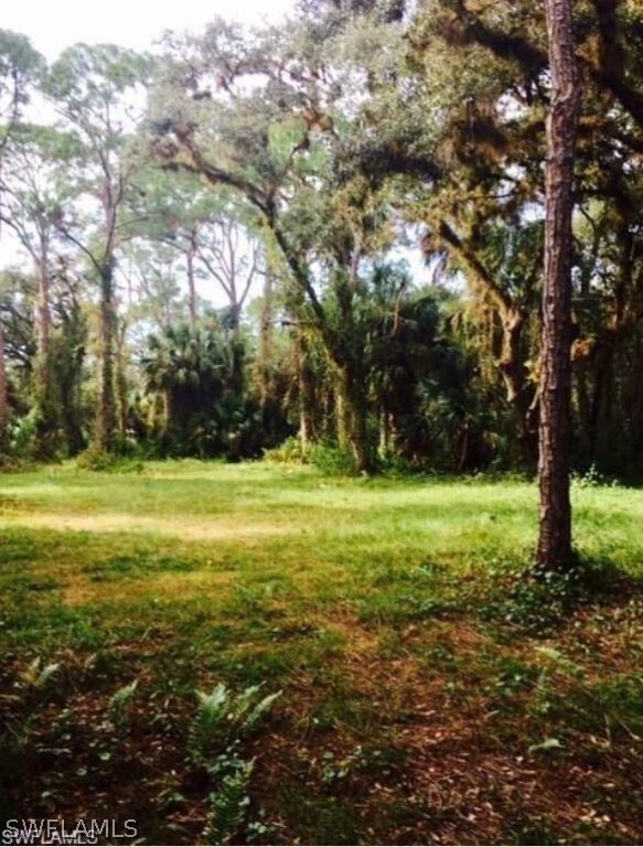 18821 Palm Beach Blvd, Alva, FL 33920 - photo 3