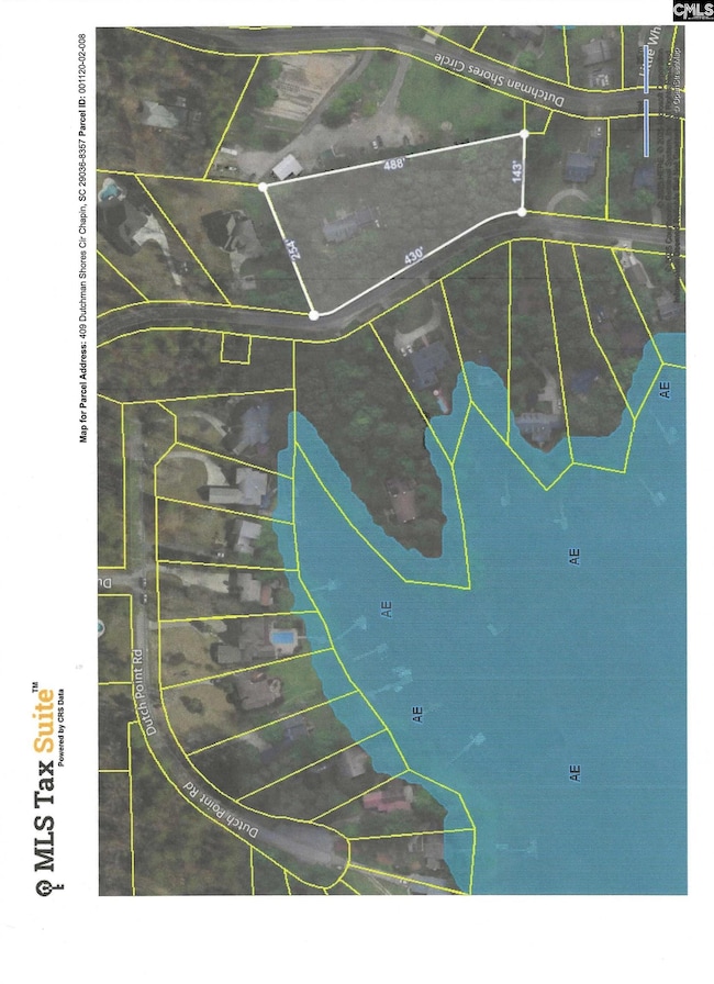 409 Dutchman Shores Cir, Chapin, SC 29036 - photo 3