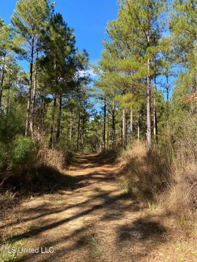 Shillings rd