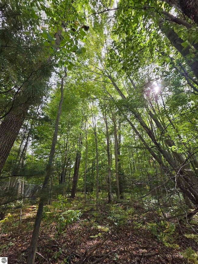 TBD S Chippewa Rd, Mount Pleasant, MI 48858 - photo 5