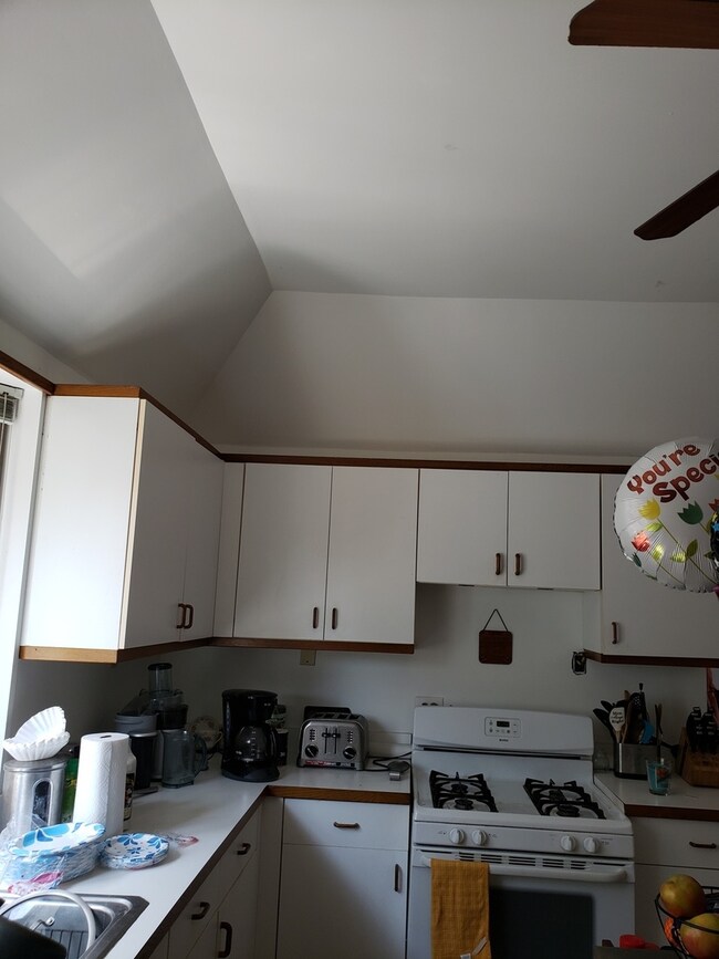 4947 N Seeley Ave unit 2, Chicago, IL 60625 - photo 4