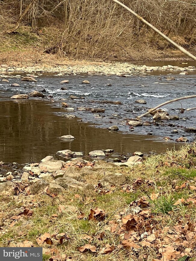 0 Palmyra Church Rd unit VASH2004984, Edinburg, VA 22824 - photo 3