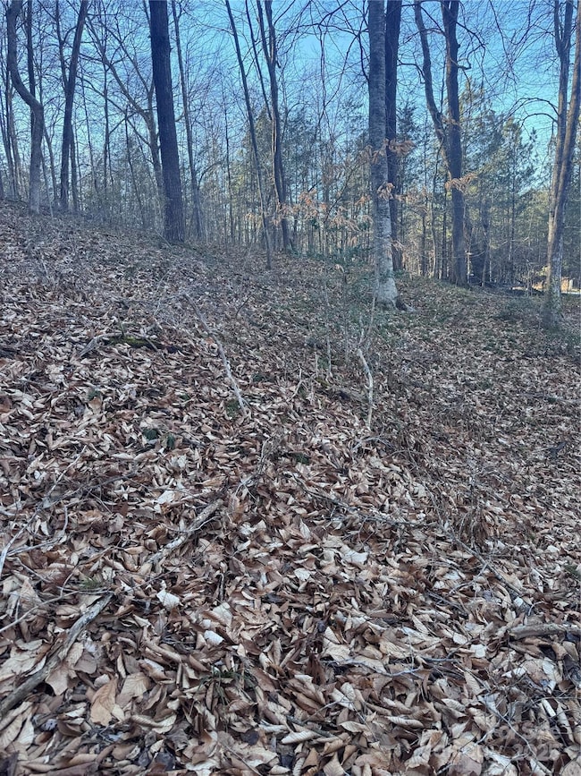 0 Creekside Cir unit 126 CAR4215345, Rutherfordton, NC 28139 - photo 6