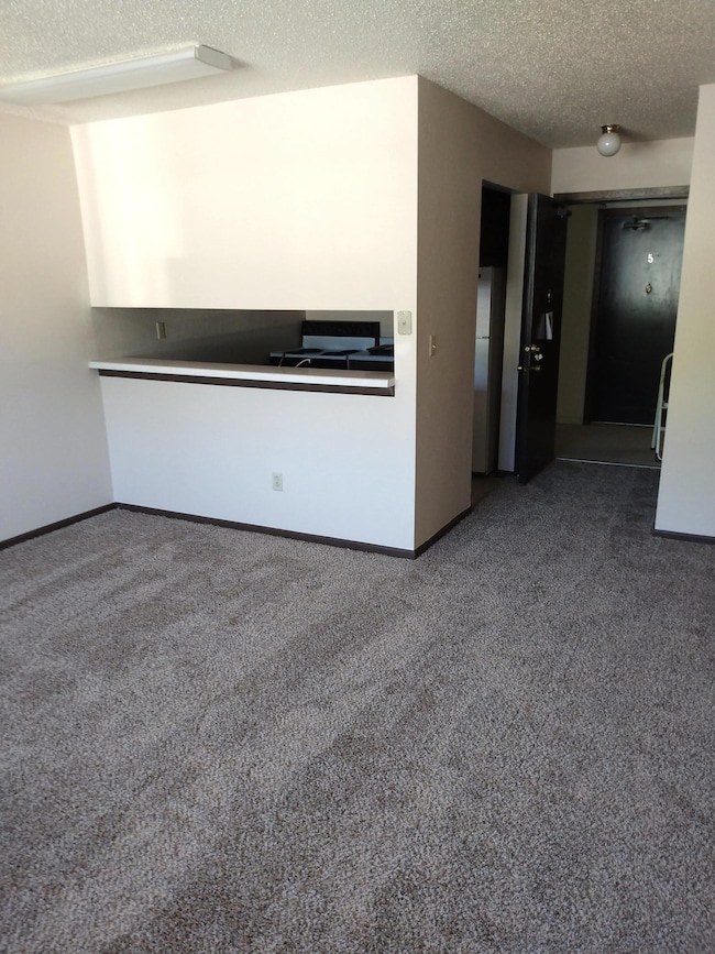 506 Carleton Ave, Morgan, MN 56266 - photo 4