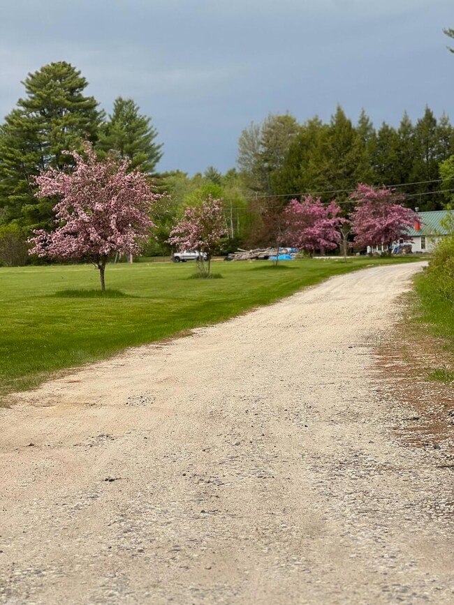 TBD Pound Rd, Durham, ME 04222 - photo 6