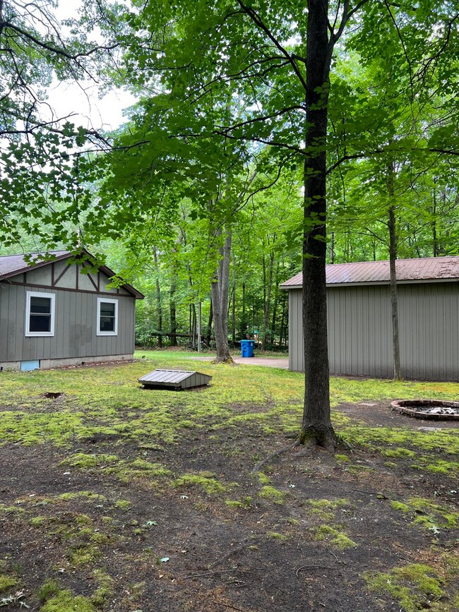 201statonwaybackyardsideview