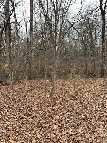 11291 Widenhouse Rd, Midland, NC 28107 - photo 2