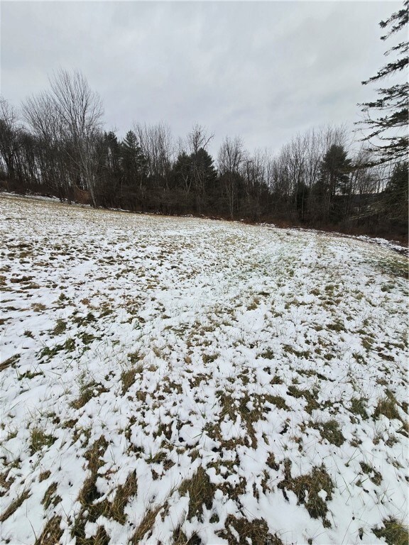 699 Kilroy Rd, Oxford, NY 13830 - photo 6