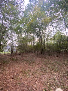 0 Sundew Ct unit 68744542, Magnolia, TX 77355 - photo 6