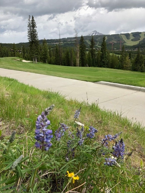 TBD Bitterbrush Trail, Big Sky, MT 59716 - photo 2