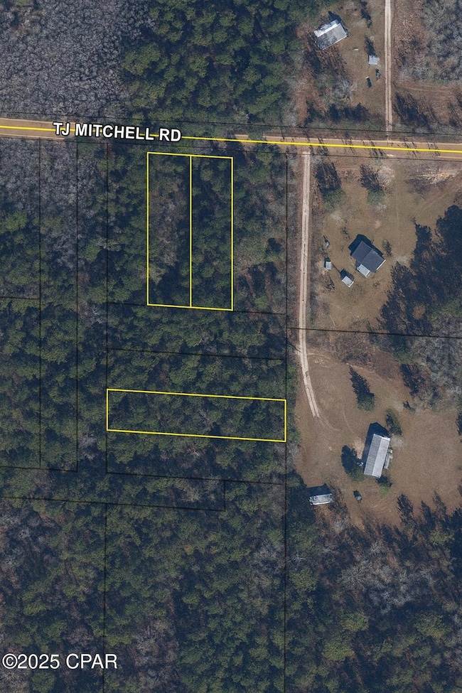 00 Tj Mitchell Rd, Bonifay, FL 32425 - photo 6
