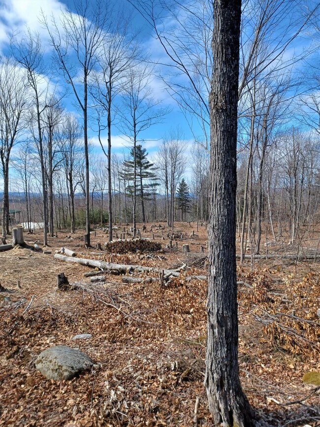 0 Sumner Rd, Paris, ME 04281 - photo 5