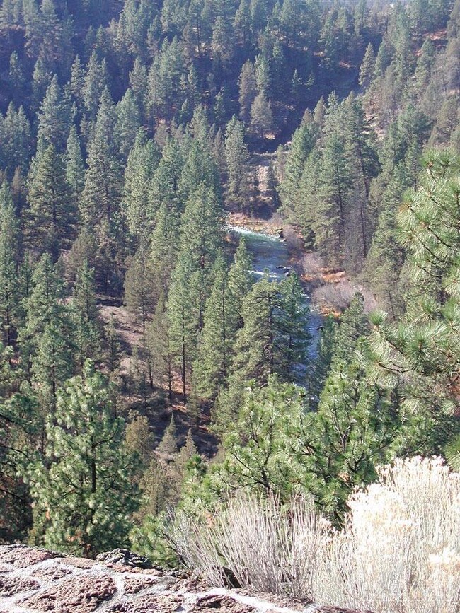 63613 O B Riley Rd, Bend, OR 97703 - photo 3