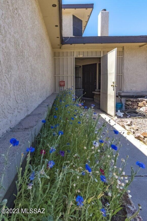 Flower Bed