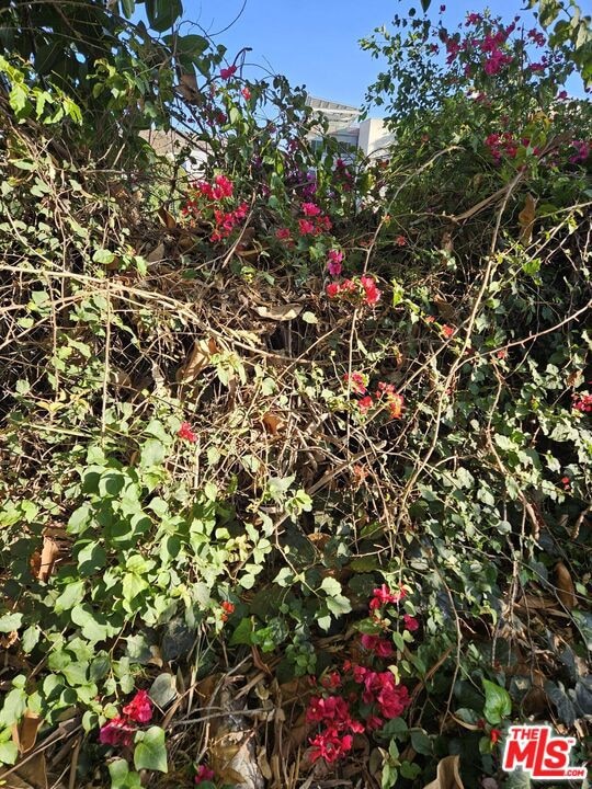 4299 Madison Ave, Culver City, CA 90232 - photo 3