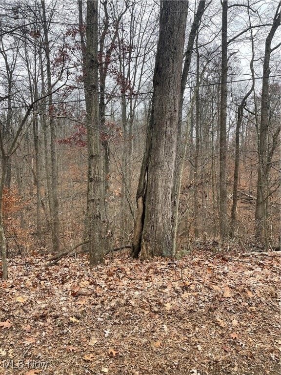 0 McKee Hill Rd unit 5175088, Frazeysburg, OH 43822 - photo 4