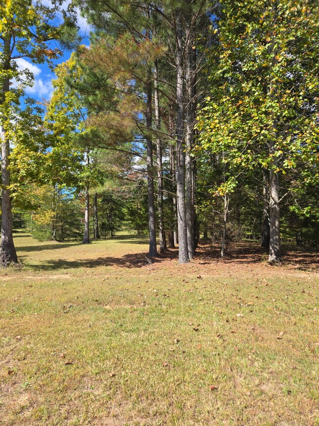 0 Two Lake Trail unit 1522146, Dunlap, TN 37327 - photo 2