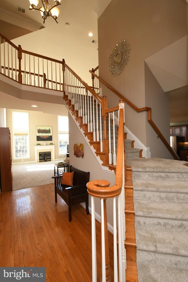21847 Engleside Place, Ashburn, VA 20148 - photo 3